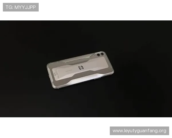 乐鱼官网手机版最新版本更新内容，带来丰富游戏玩法和优化性能的全面提升