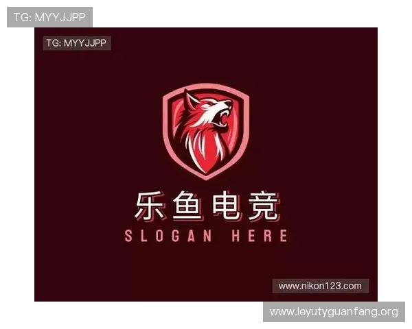 乐鱼游戏竞技如何打造专业化的电竞赛事体系提升品牌影响力