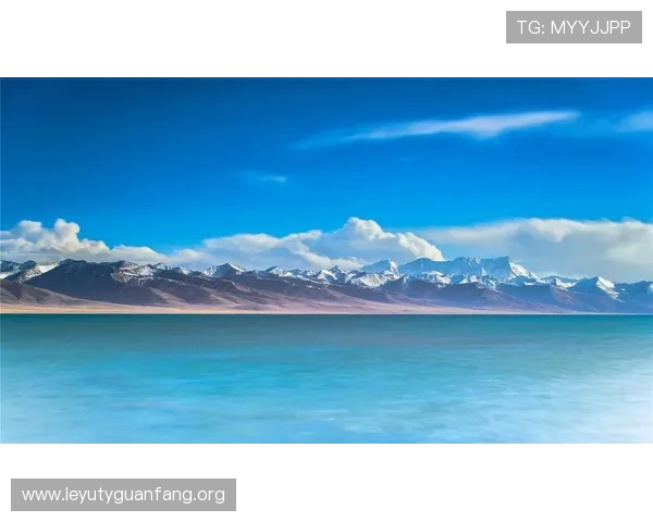 乐鱼网app下载官方正版，安全稳定的游戏下载平台推荐