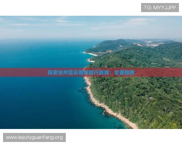乐鱼平台信誉好16：选择值得信赖的线上娱乐平台的全面指南